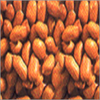 Ground Nut (Moongfali)