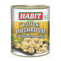 Button Mushroom Tandoor Extra Large