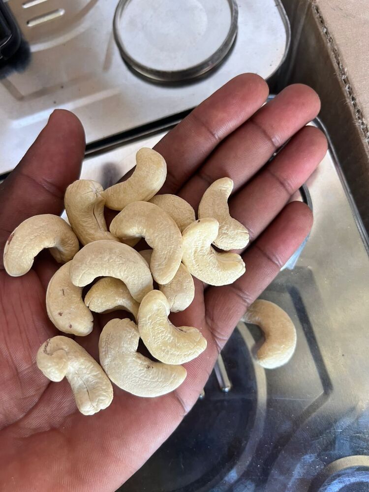 Raw cashew nuts available for sale