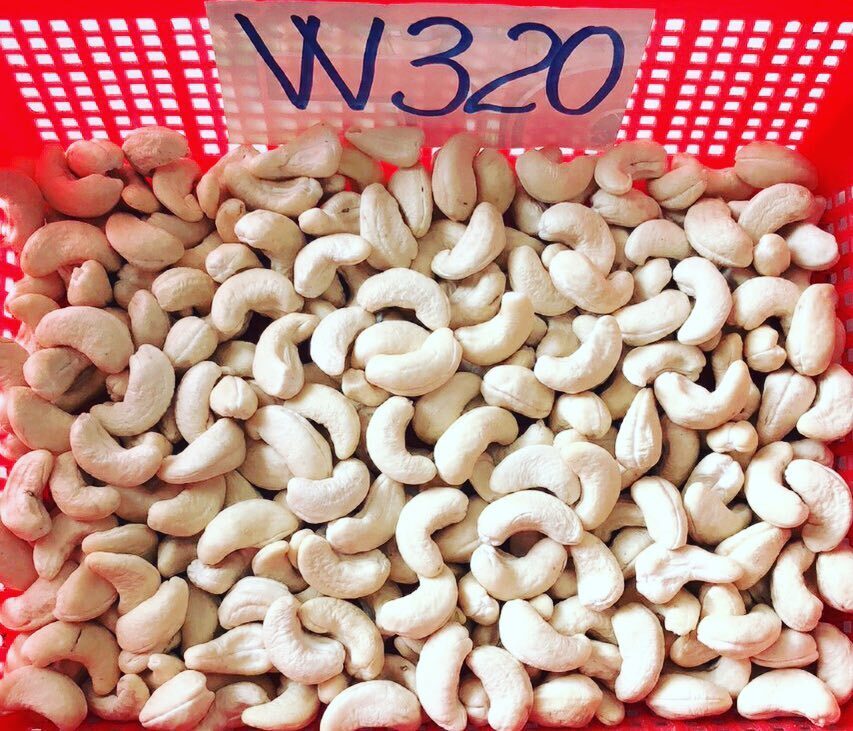 Raw cashew nuts available for sale