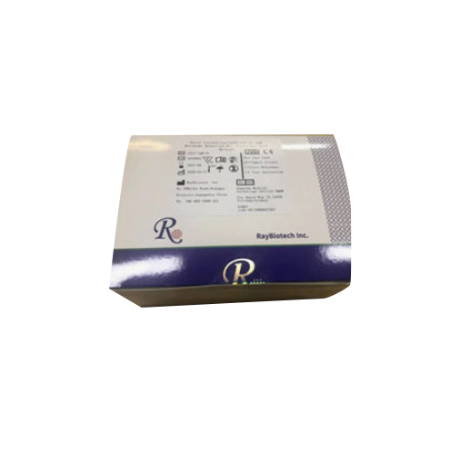 CoronaVirus Antibody Rapid Test Kit