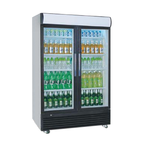 Double Door Visi Cooler