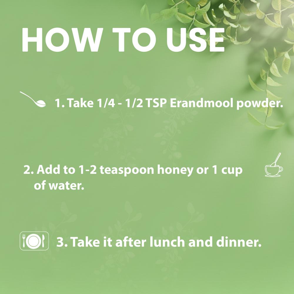 Lebrostone Erandmool Powder  Natural Detox & Immunity Booster for Skin Health| 100g