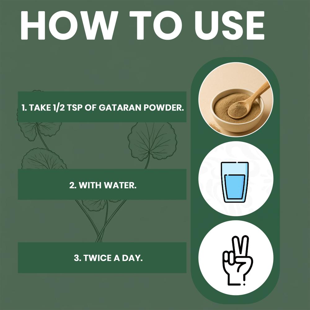 Lebrostone Gataran Herbal Powder for Digestion, Muscle Strength & Skin Health|200g