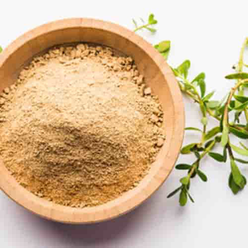 Bacopa Monnieri Extract - Avanschem