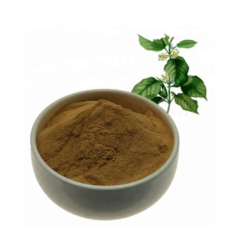 Gymnema Extract - Avanschem