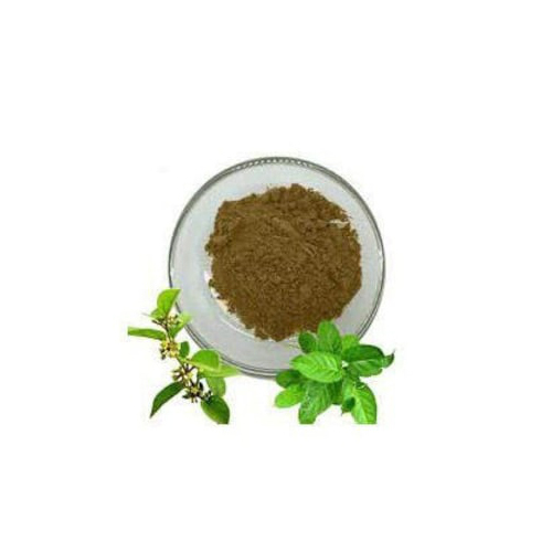 Gymnema Extract - Avanschem