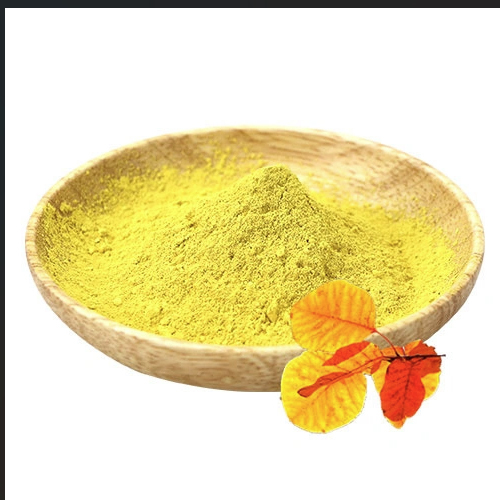 Fisetin Extract - Avanschem