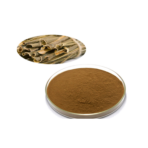 Olive Leaf Extract - Avanschem