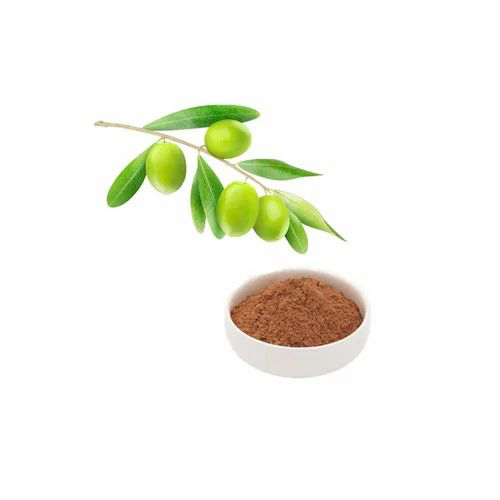 Olive Leaf Extract - Avanschem