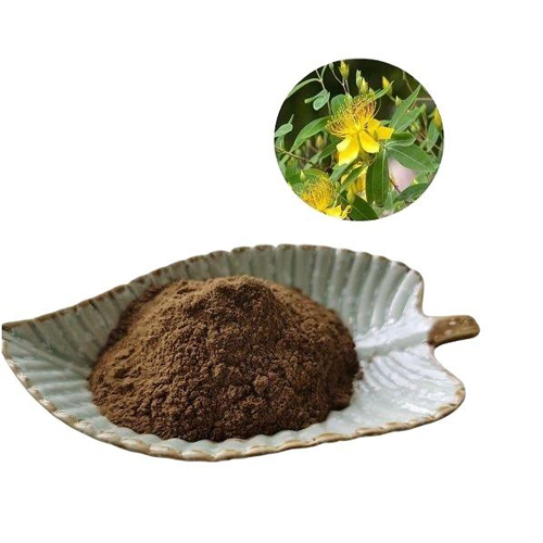 St Johns Wort Extact