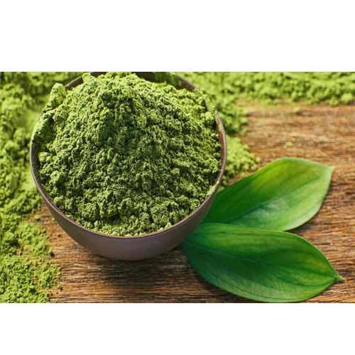 Green Tea Extract - Avanschem