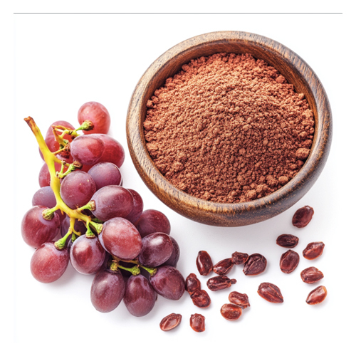 Grape Seed Extract - Avanschem