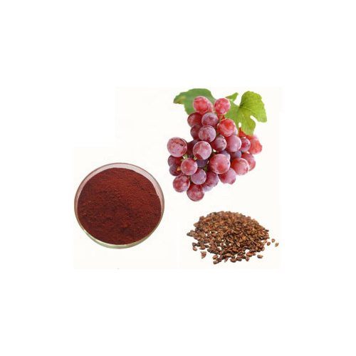 Grape Seed Extract - Avanschem