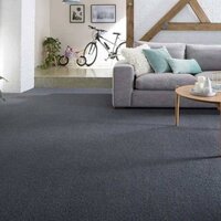 Wall To Wall Carpet - Pile Height: 8 Mm Millimeter (mm)