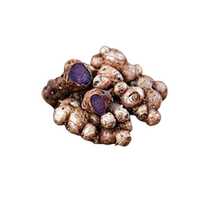 Black Ginger