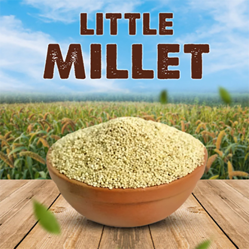 Little Millet