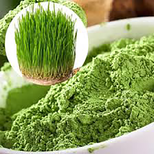 Weatgrass Powder