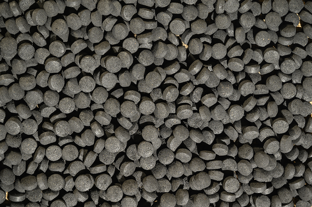 Nutri Pro BioChar Tablets