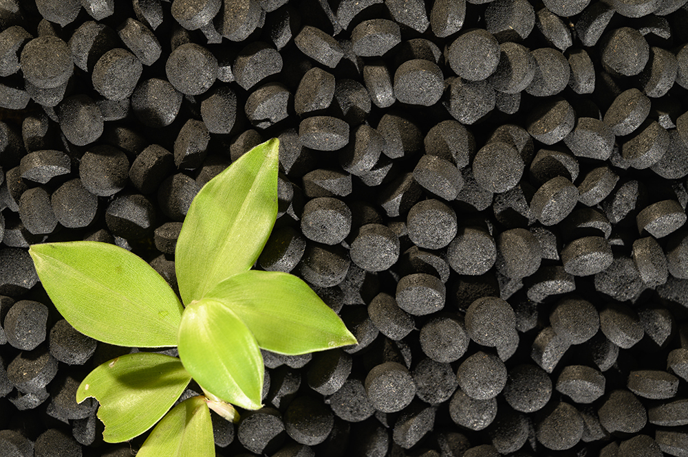 Go Plus BioChar Tablets