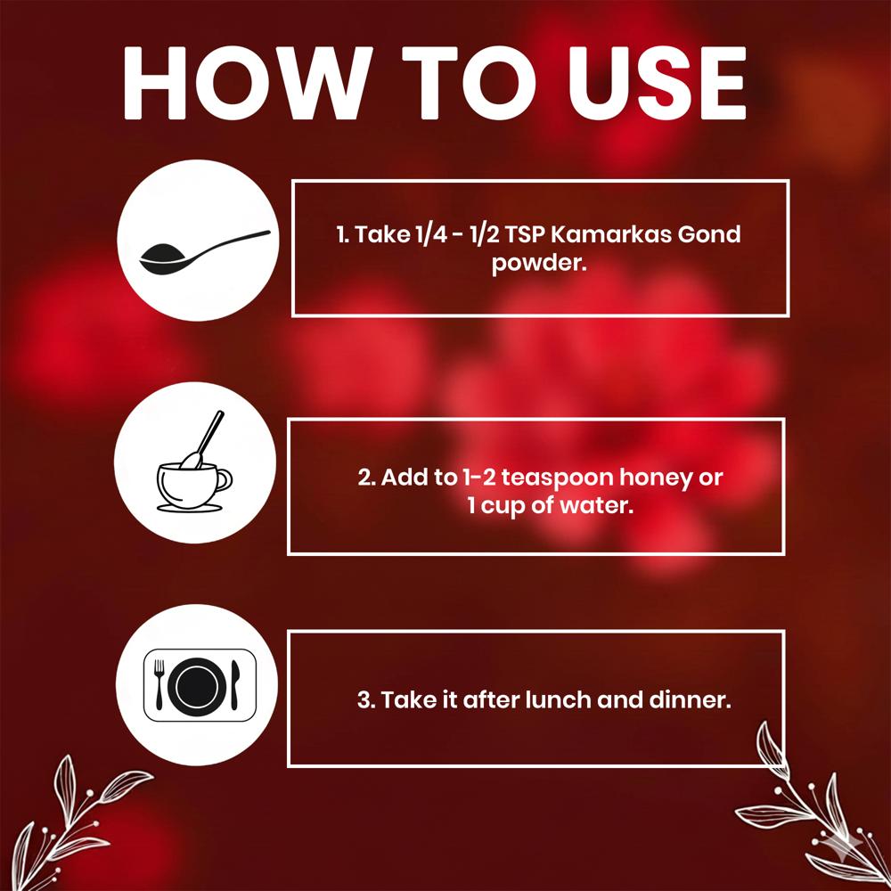 Lebrostone  Kamarkas Gond  Back Pain Relief & Reproductive Health Support(100g)