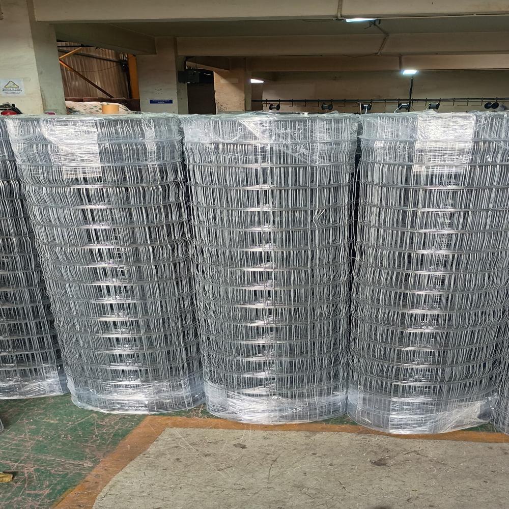 Peb Welded Wire Mesh In India