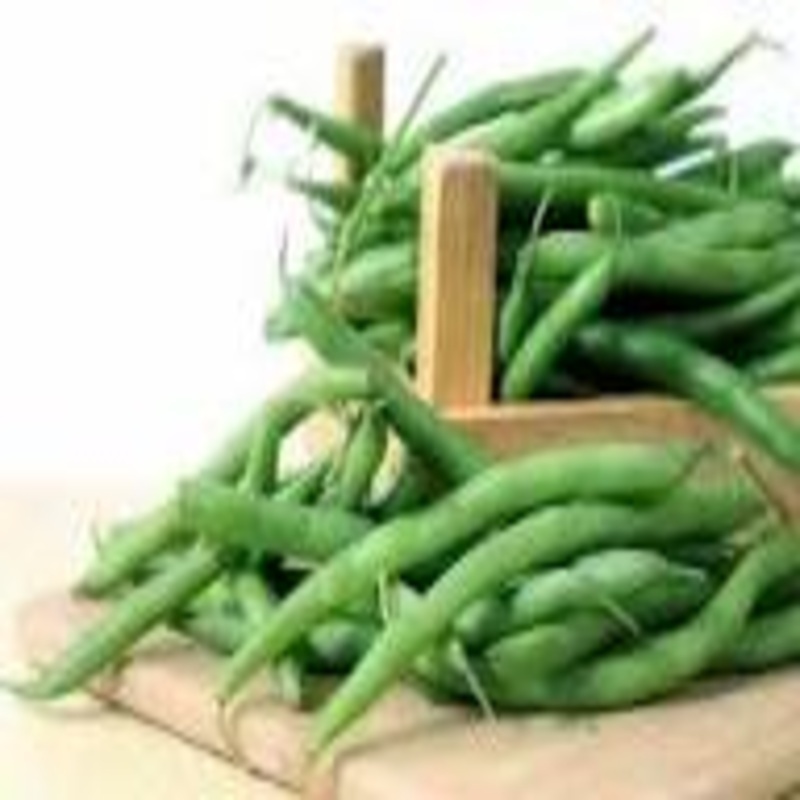 Fresh Beans - Cultivation Type: Organic
