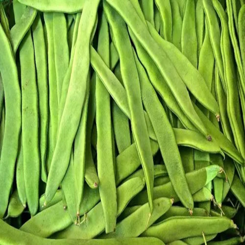 Flat Beans - Packaging Size: 5-25kg