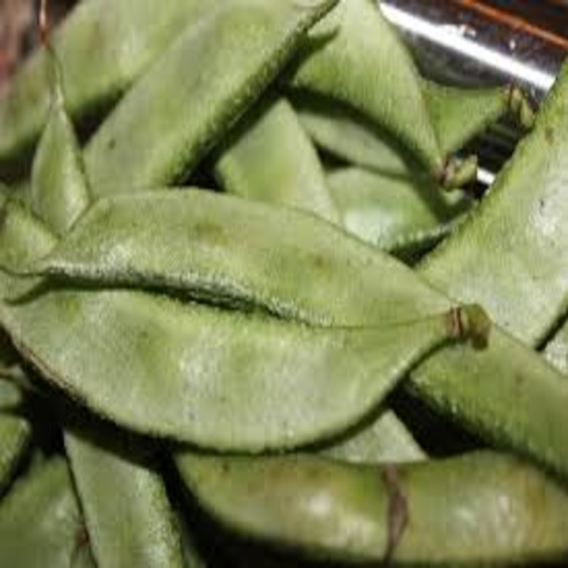 Flat Beans - Packaging Size: 5-25kg
