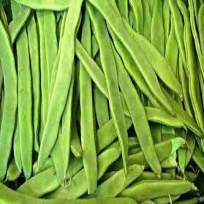 Flat Beans - Packaging Size: 5-25kg