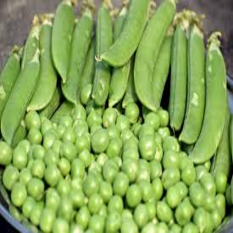 Green Peas - Packaging Size: 5-25kg