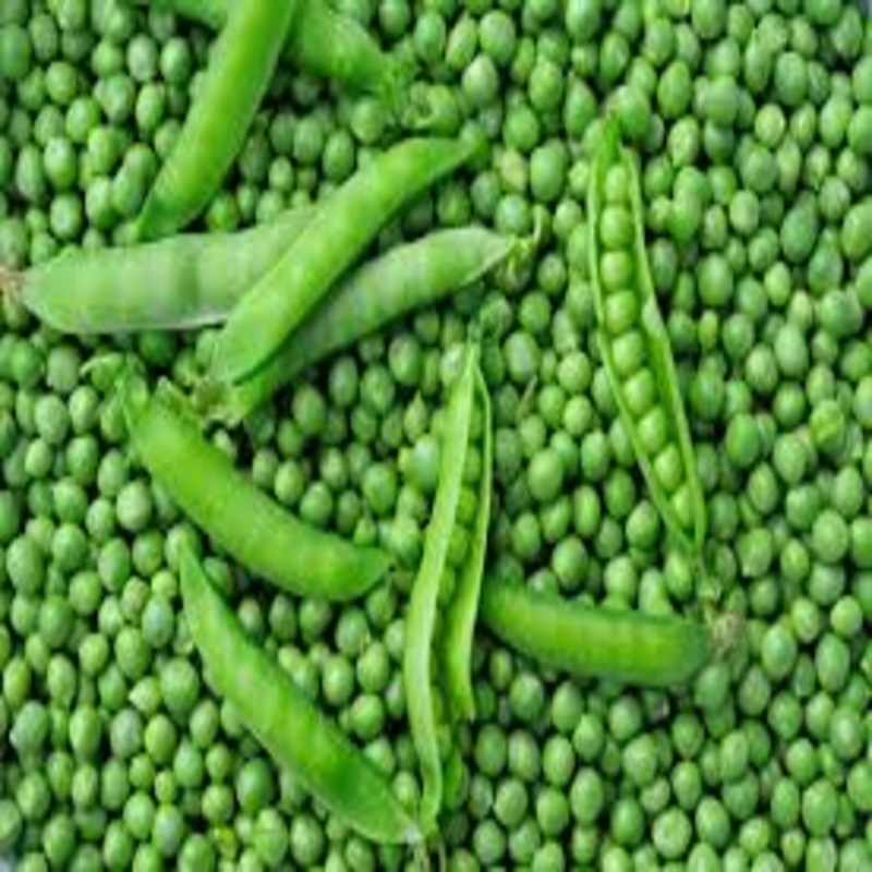 Green Peas - Packaging Size: 5-25kg