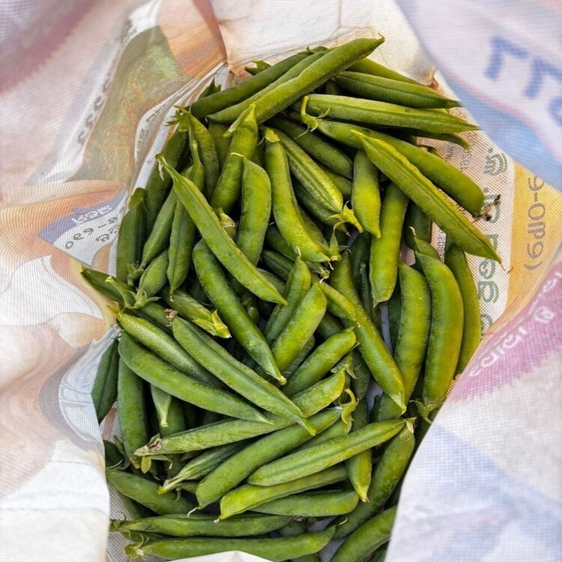 Green Peas - Packaging Size: 5-25kg