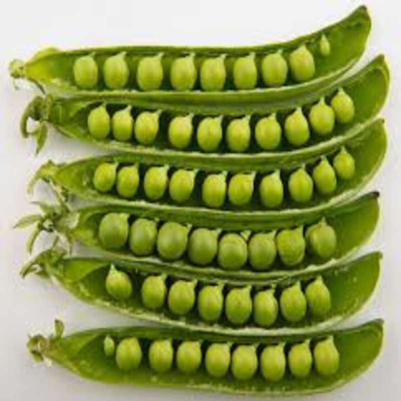 Green Peas - Packaging Size: 5-25kg