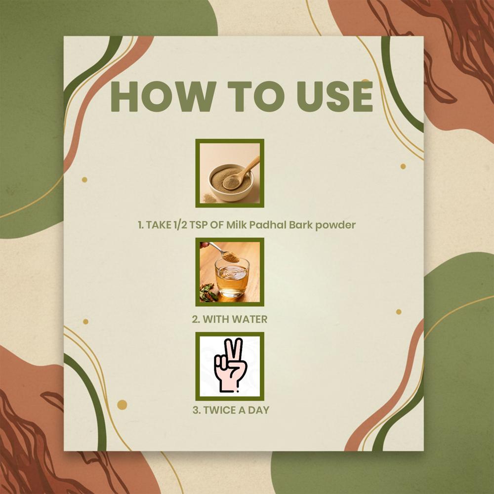 Lebrostone Padhal Bark Powder  Natural Blood Purifier & Weight Management Support(100g)