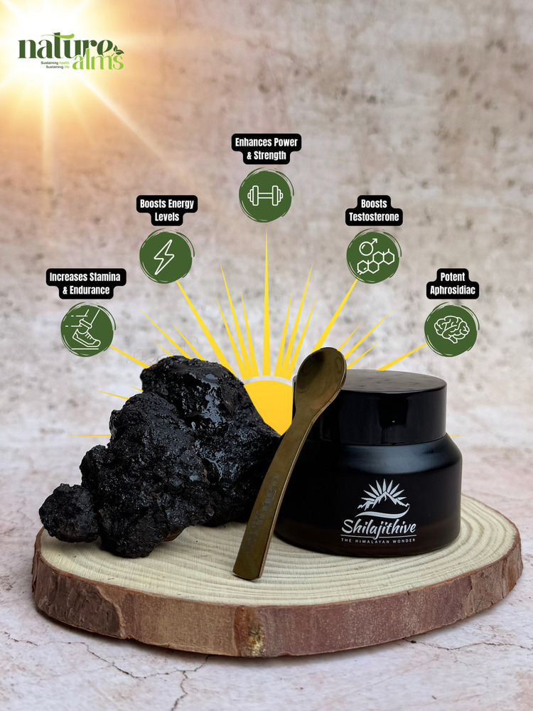 Pure Shilajit - Additives: No Additives