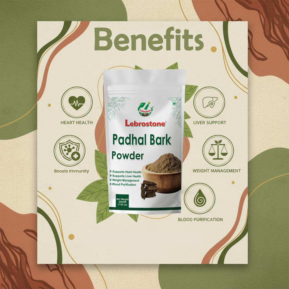 Lebrostone Padhal Bark Powder Supports Heart Health, Immunity & Liver Function(200g)
