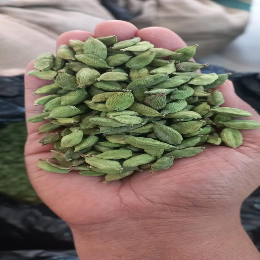 हरी इलायची 6-7 मिमी