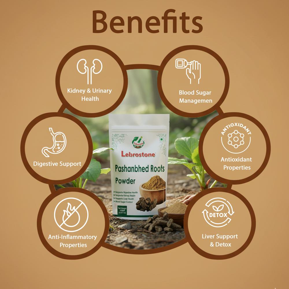 Lebrostone Pashanbhed Root Powder | Kidney Support | Detox & Digestive Health | Antioxidant| 100g