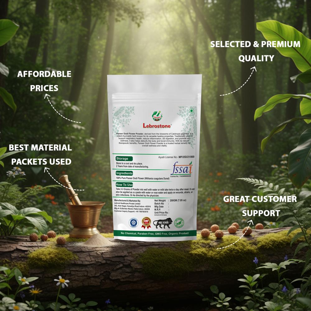 Lebrostone Paneer Dodi Flower Powder  Herbal Support for Blood Sugar Control & Wellness(200g)