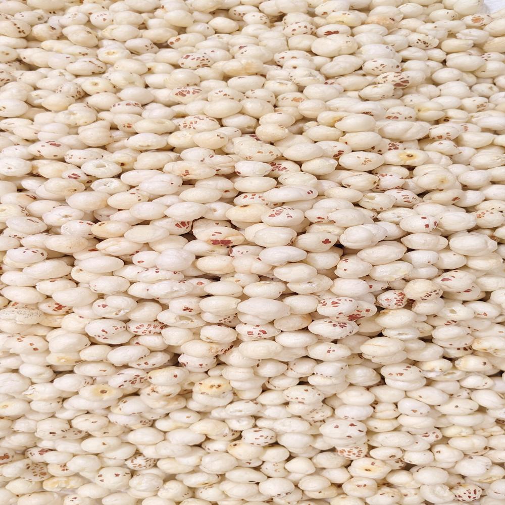 Snakiy 4+ Suta Mithila  loose Makhana