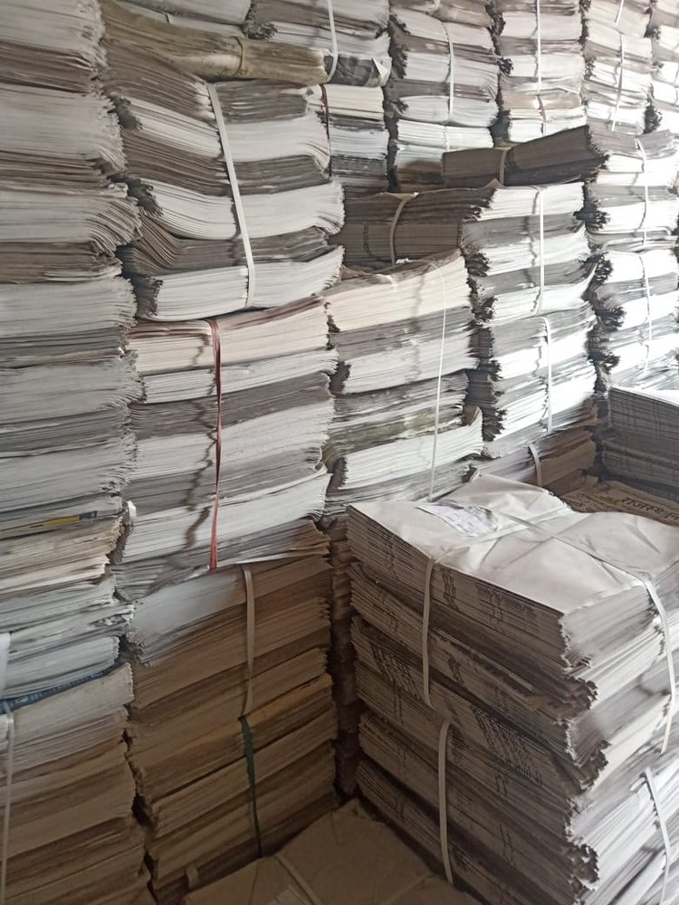 Raddi Paper One Date Press For Mango Box & Carret