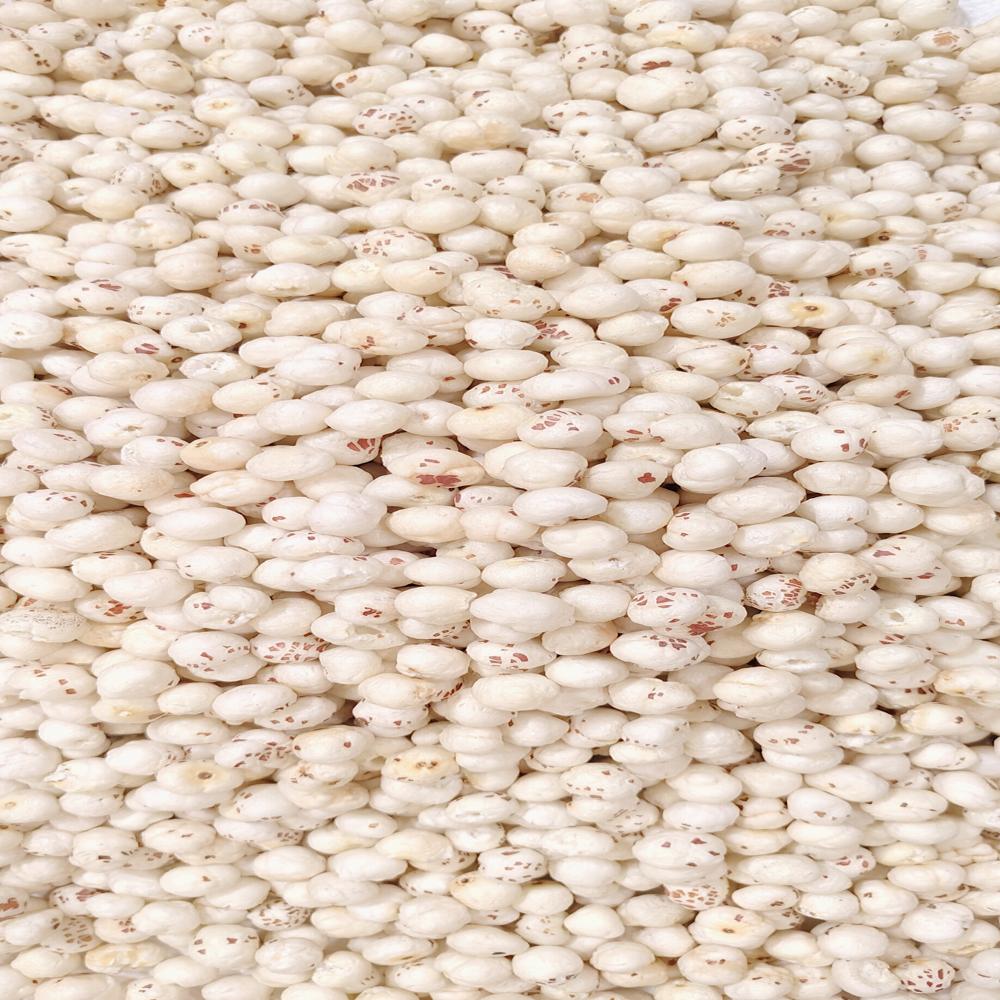 Snakiy 3+ Suta Loose Mithila loose Makhana