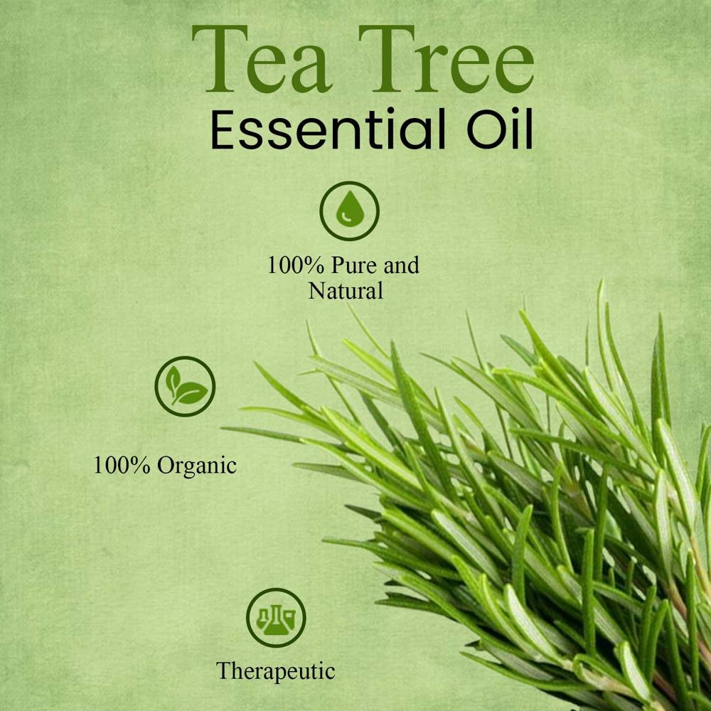 Turcy Tea Tree Essential Oil  Pure, Natural & Cold-Pressed for Skin Care, Hair Care&,Acne Treatment(15ML)