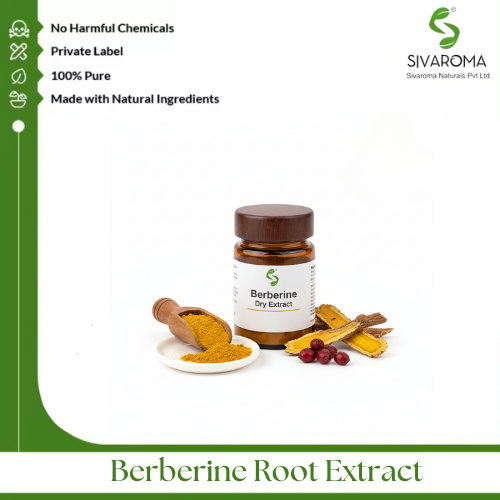 Berberine Root Extract