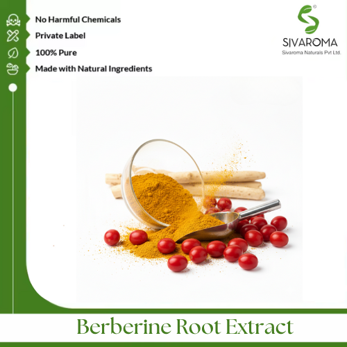 Berberine Root Extract - Color: Bright Yellow To Yellow-brown
