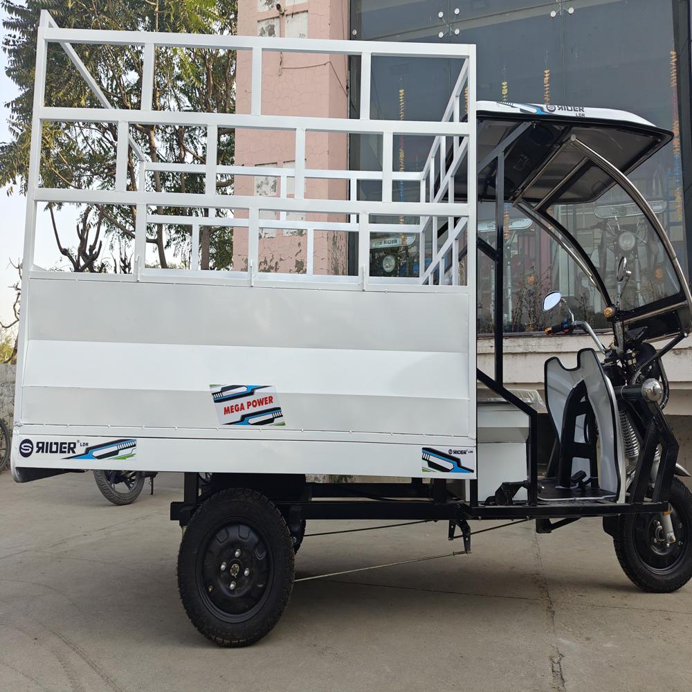 600kg E Rickshawloader