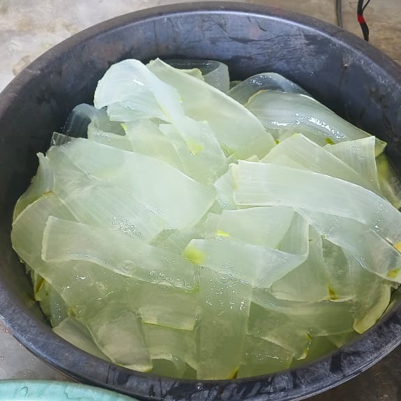 Aloe Vera Pulp