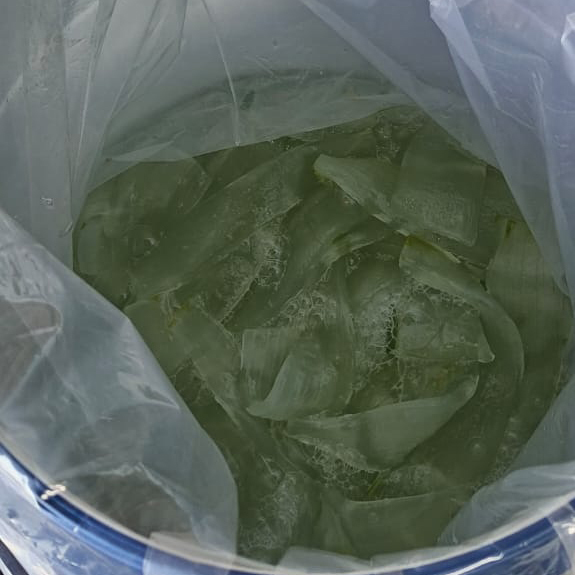 Aloe Vera Pulp - Advantage: Natural