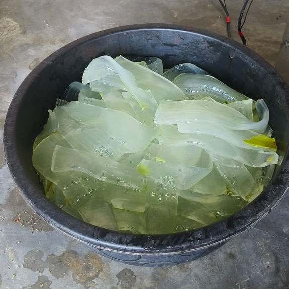 Natural Aloe Vera Pulp